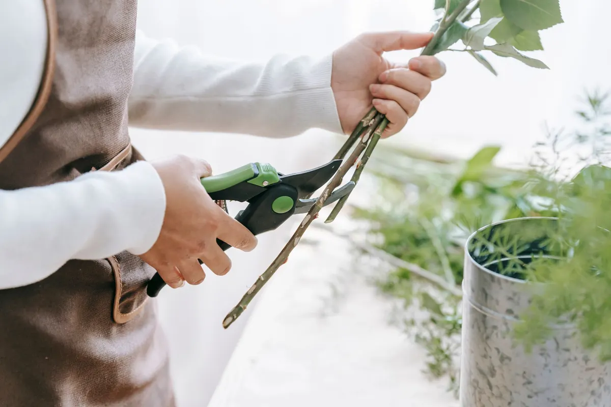 Floral Design Workshop Packing Checklist: Tools, Flowers, and What to Wear